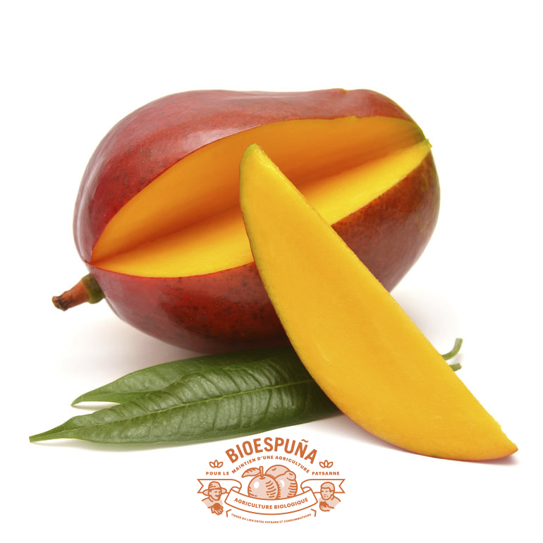 Mangos bio