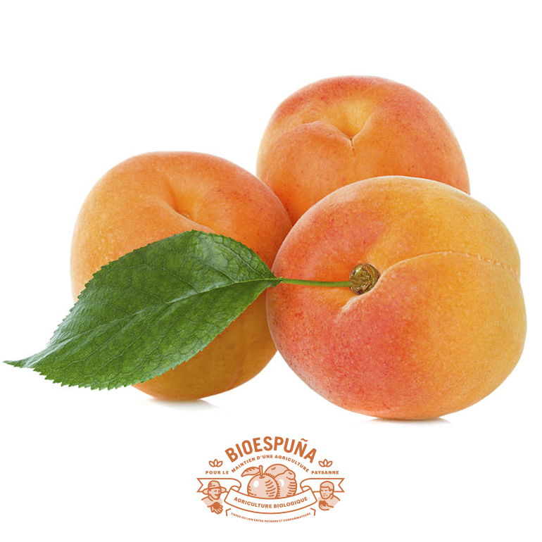Caquis bio (copia)