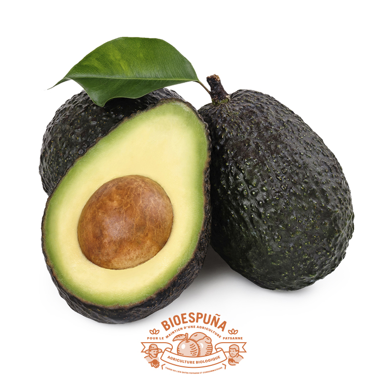 Aguacates bio