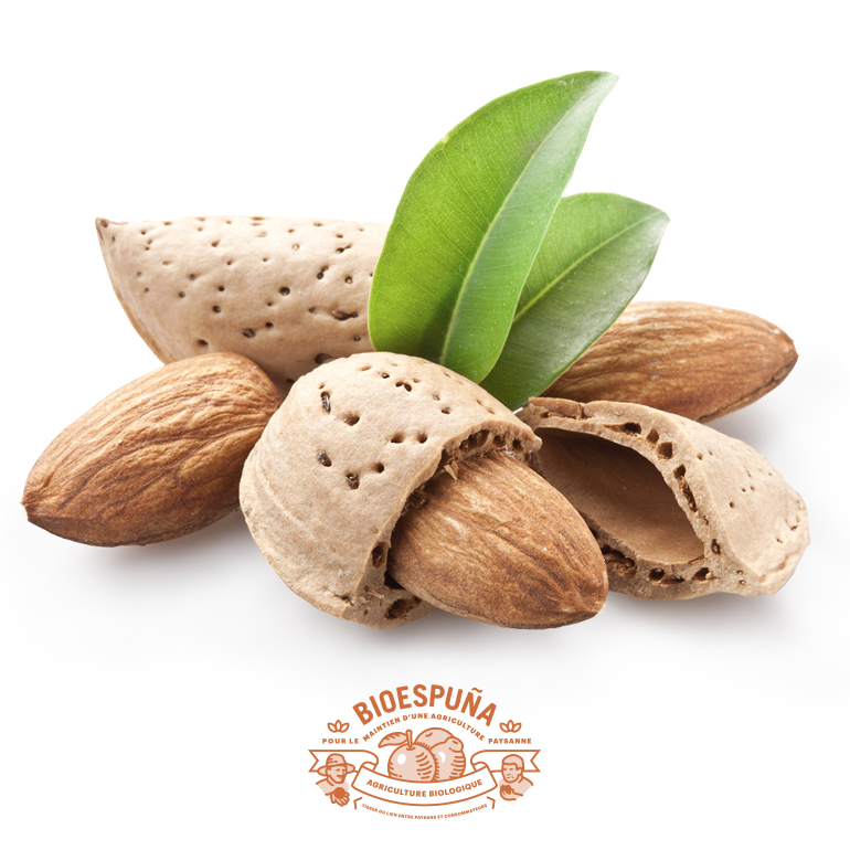Almendras bio en pepita