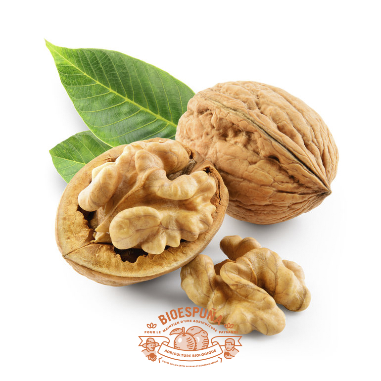 Nueces bio peladas