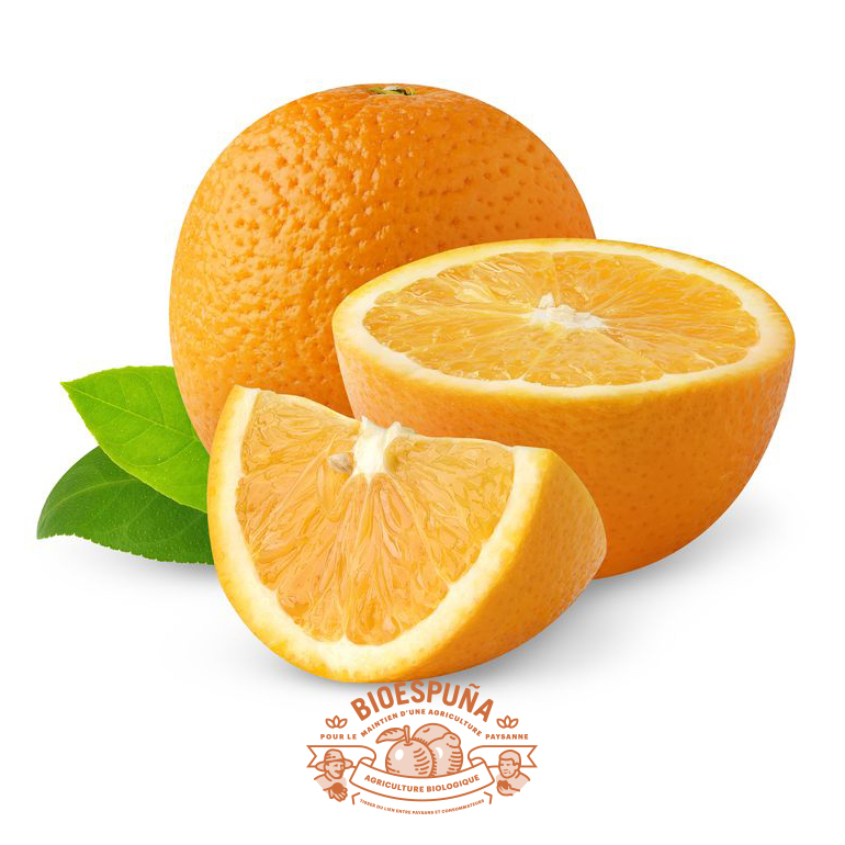 Naranjas bio