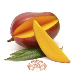 [FMG30K0040] Mangos bio