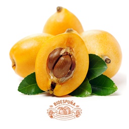 [FNI30K0025] Limones bio (copia)